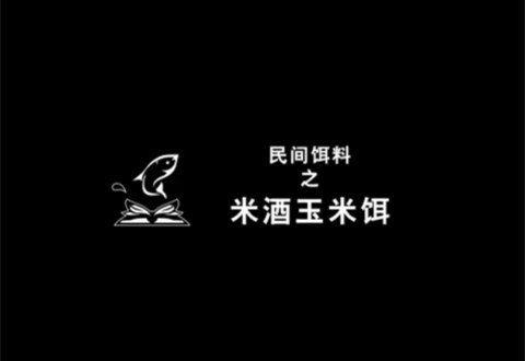 渔课堂 米酒玉米饵的民间饵料，钓鲫鱼效果好 [视频]
