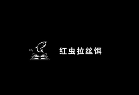 渔课堂 冬季钓鲫鱼的红虫拉丝饵的配法 [视频]