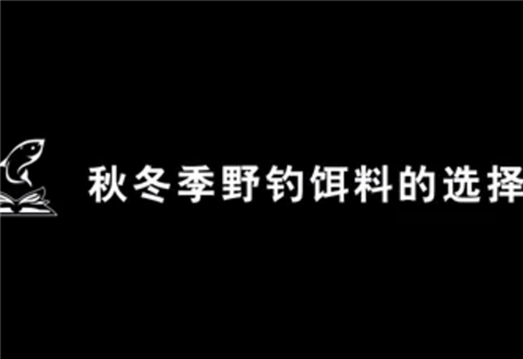 渔课堂 秋冬季野钓饵料的选择，要添加腥味饵料 [视频]