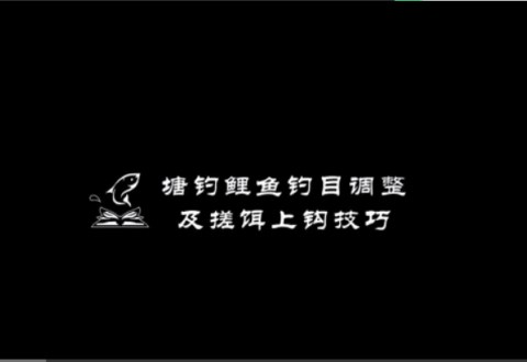 渔课堂 鱼塘钓鲤鱼钓目调整以及搓饵上钩技巧 [视频]