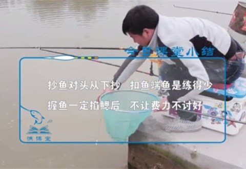 渔课堂 抄鱼与握鱼的2个小技巧 [视频]