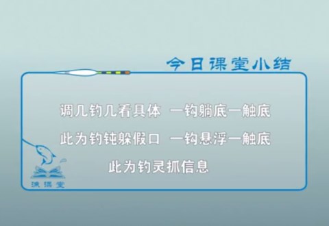 渔课堂 钓鱼时调几目钓几目的具体操作 [视频]