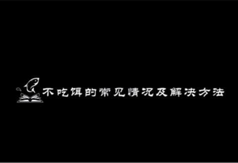 渔课堂 钓鱼时鱼不开口的几种常见情况以及解决方法 [视频]