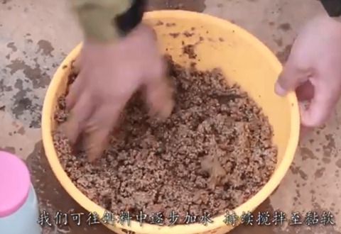 渔课堂 大棚钓鱼前期和后期的饵料调整 [视频]