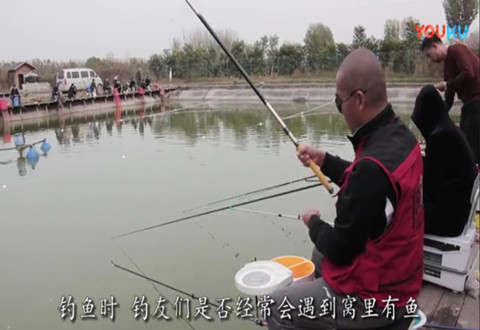 渔课堂 逗鱼，让鱼索饵更积极 [视频]