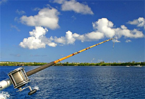 钓鱼要选好风向，细谈风向对于垂钓的影响