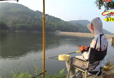 麦子钓鱼 钓鱼实战之新放青鱼该如何作钓 [视频]