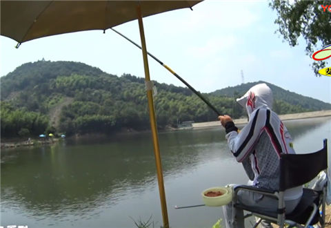 麦子钓鱼 钓新放的青鱼该怎样选水层和钓位2 [视频]