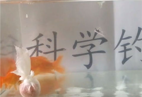 科学钓鱼 到底谁是冬季野钓第一神饵 [视频]