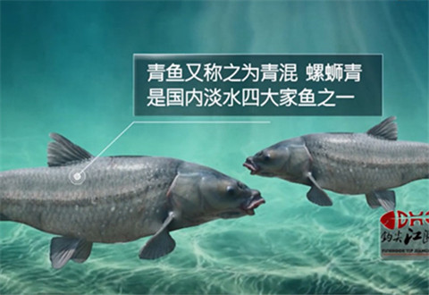 20180908181651oqVp9M.jpg