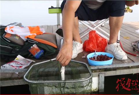 筏钓江湖第三季17 官桥水库 人与鱼的搏斗 [视频]