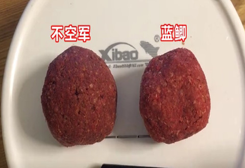 科学钓鱼 化氏神饵对上野战蓝鲫 [视频]