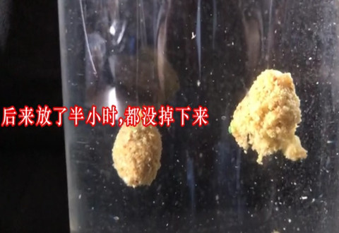 科学钓鱼 钓鱼高手都喜欢粘粉而不是拉丝粉 [视频]