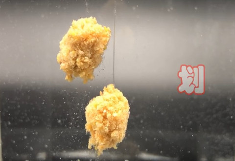 科学钓鱼 钓友疯狂推荐的疯杀鲫[视频]