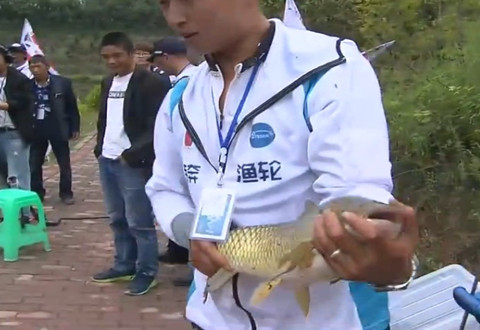 钓赛大事件20180916期 特奔鱼轮湖库巡回赛重庆站 [视频]