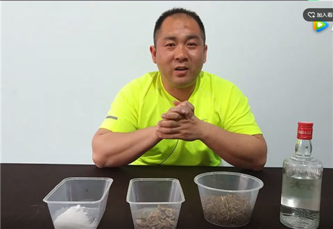 三种材料泡制香甜味小药，针对鲤鱼有奇效 [视频]