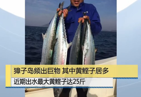 中国垂钓周刊20180916期 京东钓场存鱼10万斤 及时补鱼 鱼量充足 [视频]