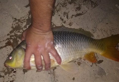 在还没老一岁之前和朋友一起夜战通宵