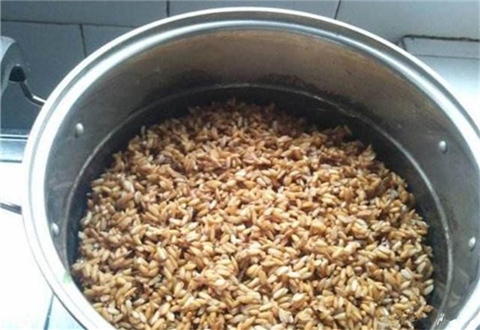 稻谷类钓鱼饵料的制作方法小汇总