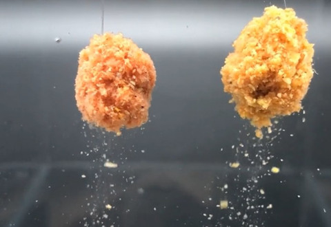科学钓鱼 两款深秋鲫鱼饵的区别和搭配 [视频]