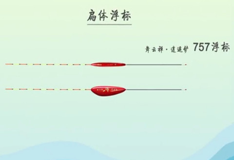 从0开始学钓鱼 93钓底用标 [视频]