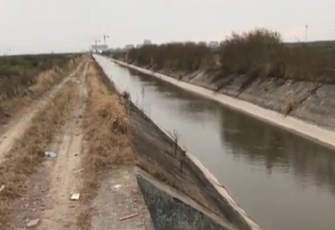 麦子钓鱼 再探杭州湾湿地 终得寻觅钓点板鲫小爽鱼种丰富 [视频]