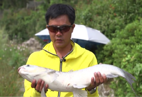 猎青第二季16 作钓李家鱼塘，大水面水底复杂 [视频]