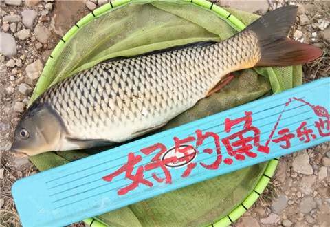 秋高气爽去钓鱼，绿水青山鱼获多