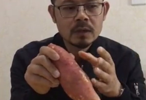 户外老曹 用番薯做鱼饵  大小鱼都能钓 [视频]