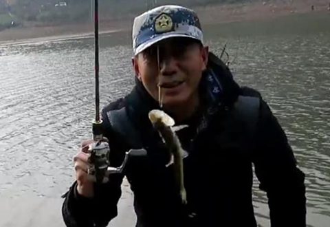三耳鱼的马口微世界 2018冬季之五 [视频]