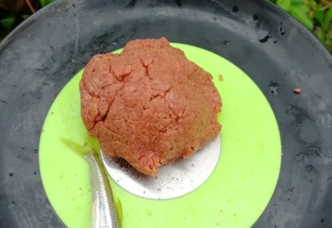 家旁边的小河,钓鱼人的天堂