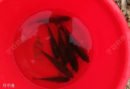 探钓新钓点,尴尬的开端,意想不到的结果!