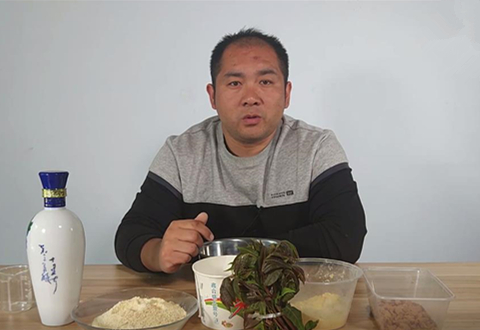鱼饵君 老钓手用一种树叶钓鱼 制作方法还特别简单 [视频]