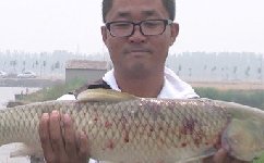 大师解答如何开渔具店？渔具加盟选择经验