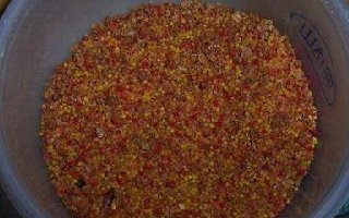 自制钓草鱼诱饵与钓饵的制作方法
