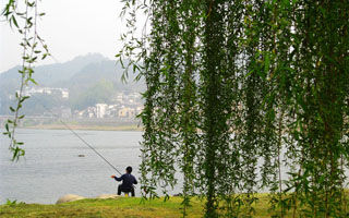 盛夏钓鱼技巧(钓位、时机、天气、饵料)