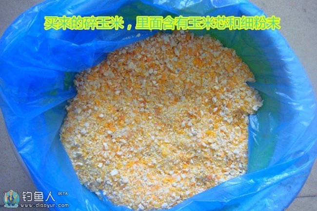 自制钓大鲤的发酵碎玉米饵料制作方法