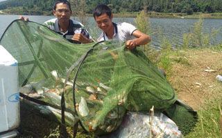 秋季涨水钓升钟湖 狂拉大草、红尾鱼爆护