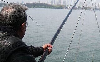 新型传统钓钓组揭秘 让你三分钟成高手