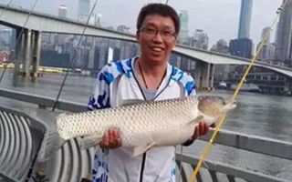 嘉陵江一次快乐钓行 斩获草鱼4条过60斤