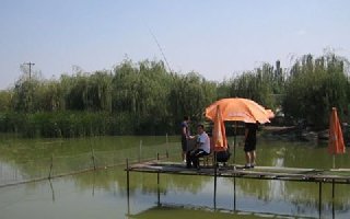 钓友谈传统钓的一些见解与认识