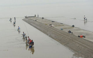 钱塘江大潮时垂钓海鲻鱼的三大技巧