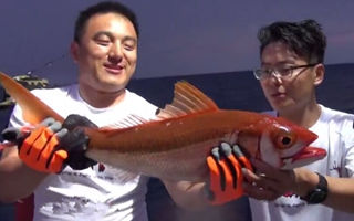 《涉钓英雄传》群雄逐浪安达曼(一) 海钓巨物 [视频]