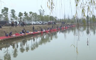 《鱼资渔味》第20151120期：首届王中王大师争霸赛开打 [视频]