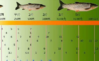 钓草鱼用几号钩，不同重量的鱼钩选择