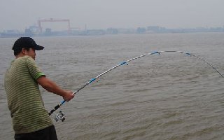 钓友齐分享：长江里各类鱼种的特有钓法
