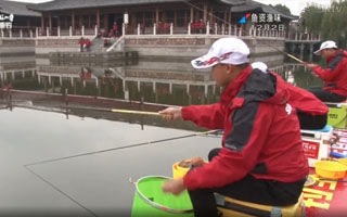 《鱼资渔味》第20151202期 钓圣杯总决赛落幕[视频]