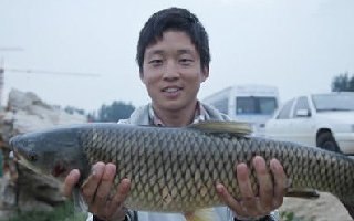 野钓草鱼时应该选择哪种钓点最合适