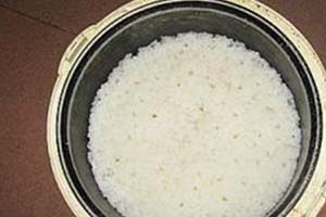 米饭粒钓鱼的加工方法和使用技巧