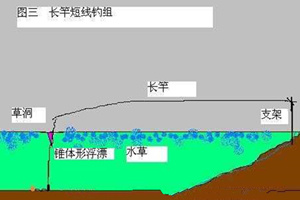长竿短线钓草塘的钓法技巧